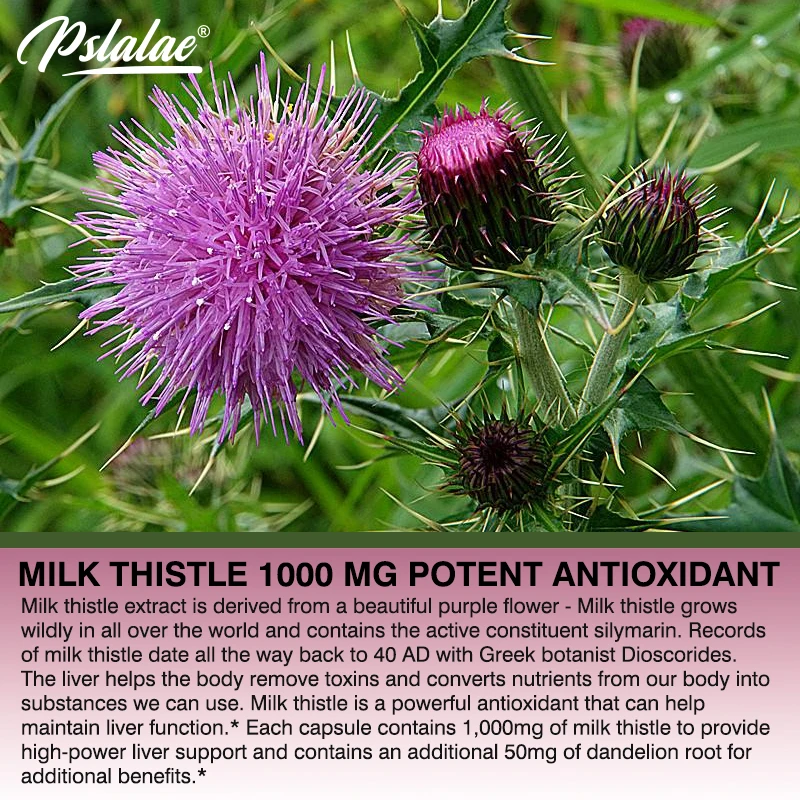 Natural Milk Thistle Supplemen - Milk Thistle Silymarin ulasan dan harga