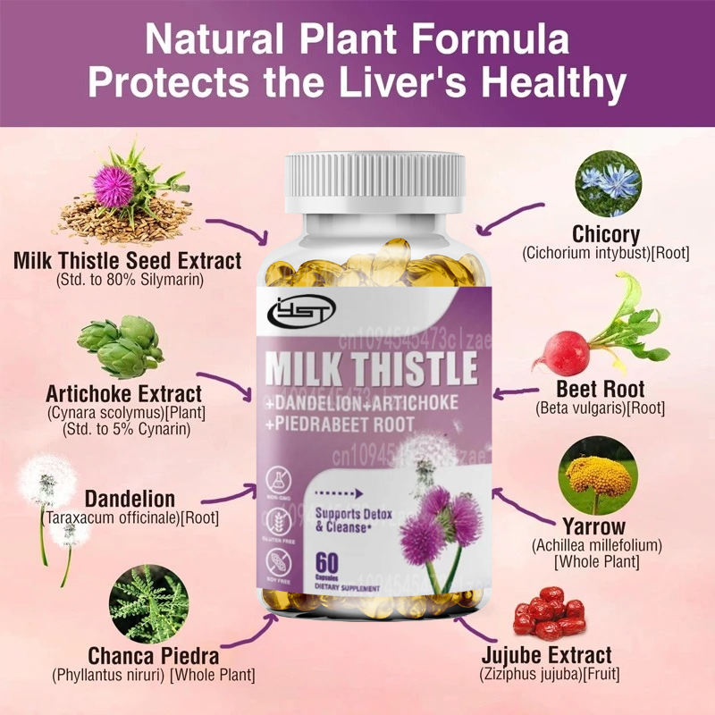Milk Thistle Supplement Contai - Milk Thistle Silymarin ulasan dan harga